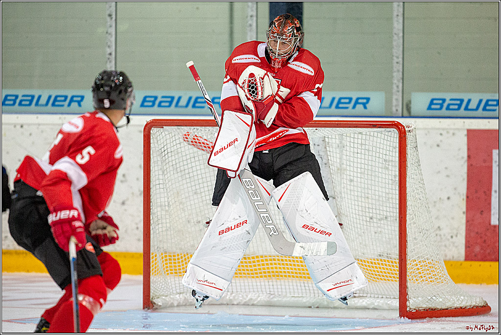 Der Koeln Cup 2018 Koelner Haie - Oerebro HK, 18.08.2018